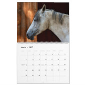 Calendrier Chevaux (Mar 2027)
