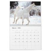 Calendrier Chevaux 2017 (Feb 2026)