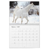 Calendrier Chevaux 2017 (Feb 2027)