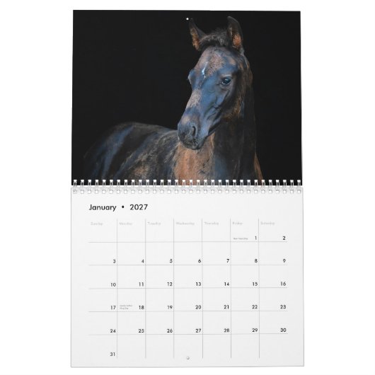Calendrier Chevaux de ferme Stargazer (Jan 2027)