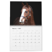 Calendrier Chevaux de ferme Stargazer (Feb 2027)