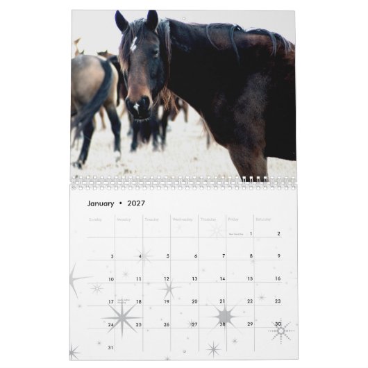 Calendrier Chevaux des collines de silex (Jan 2027)