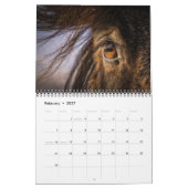 Calendrier Chevaux islandais (Feb 2027)