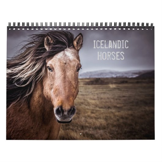 Calendrier Chevaux islandais (Protection)