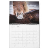 Calendrier Chevaux islandais (Jan 2027)