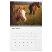 Calendrier Chevaux islandais (Mar 2027)