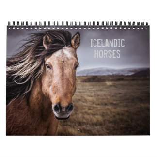 Calendrier Chevaux islandais