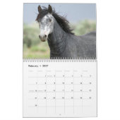 Calendrier Chevaux majestueux (Feb 2027)