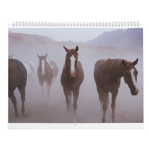 Calendrier Chevaux Moab (Protection)