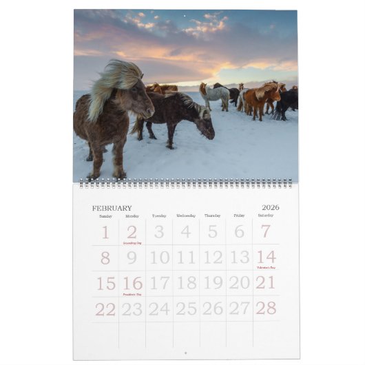 Calendrier Chevaux modifiables (Feb 2026)
