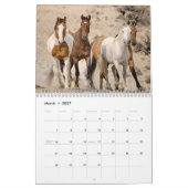 Calendrier Chevaux sauvages (Mar 2027)