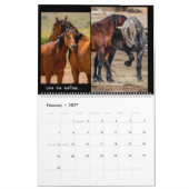 Calendrier Chevaux sauvages 2023 (Feb 2027)