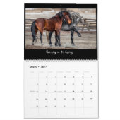 Calendrier Chevaux sauvages 2023 (Mar 2027)