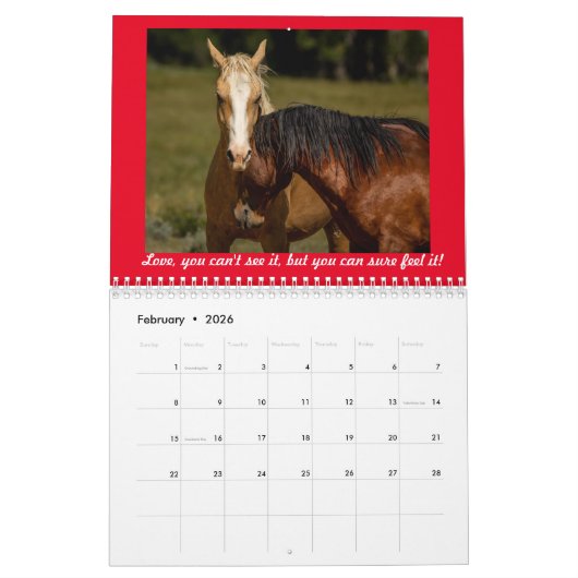 Calendrier Chevaux sauvages 2024 (Feb 2026)