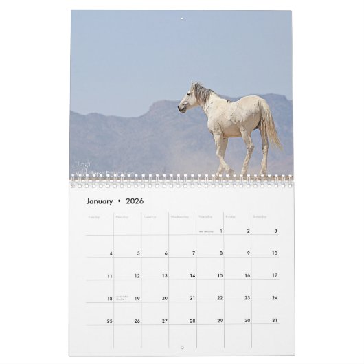 Calendrier Chevaux sauvages (calendrier) (Jan 2026)