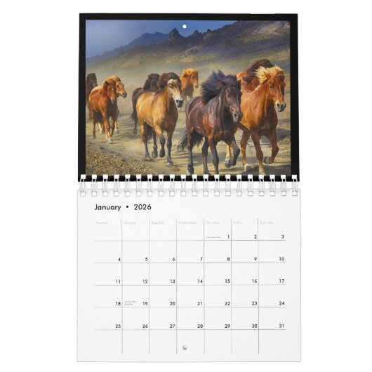 CALENDRIER CHEVAUX SAUVAGES, DO-IT-YOURSELF ANNÉE (Jan 2026)
