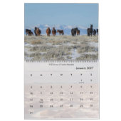 Calendrier Chevaux sauvages du Wyoming (Jan 2027)