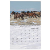 Calendrier Chevaux sauvages du Wyoming (Feb 2027)