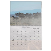 Calendrier Chevaux sauvages du Wyoming (Mar 2027)
