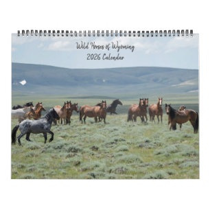 Calendrier Chevaux sauvages du Wyoming