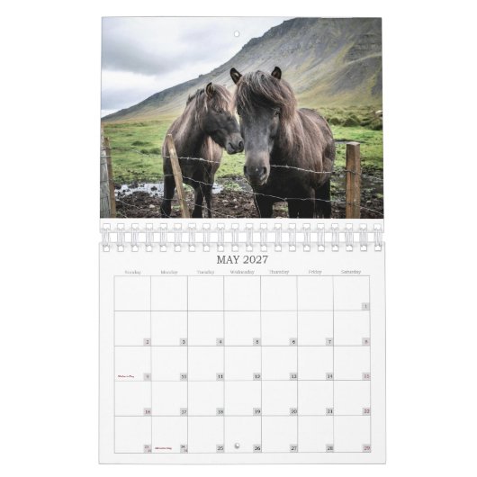 CALENDRIER CHEVAUX SIMPLES 2026 (Mai 2027)
