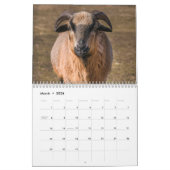 Calendrier Chèvre 2025 (Mar 2026)