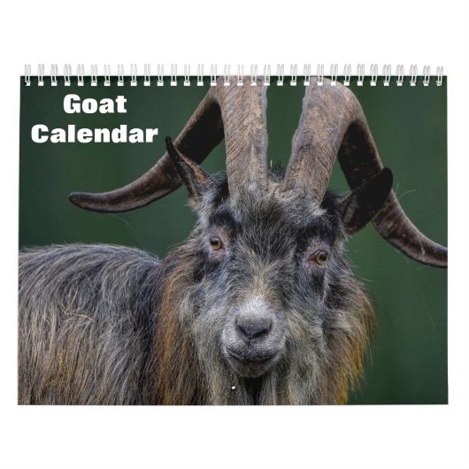 Calendrier Chèvre 2025 (Protection)