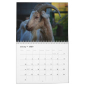 Calendrier Chèvre 2026 (Jan 2027)