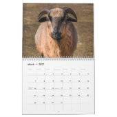 Calendrier Chèvre 2027 (Mar 2027)