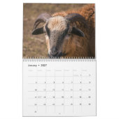 Calendrier Chèvre 2027 (Jan 2027)