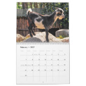 Calendrier Chèvre 2027 (Feb 2027)