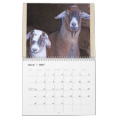 Calendrier Chèvre Amusante Et Amicale (Mar 2027)
