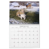 Calendrier Chèvres sur le ranch (Feb 2027)