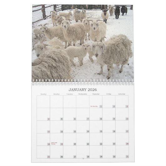 Calendrier Chèvres sur le ranch (Jan 2026)