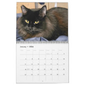 Calendrier Chewie le chat noir : 12 mois de Whiskers, Pâtes, (Jan 2026)