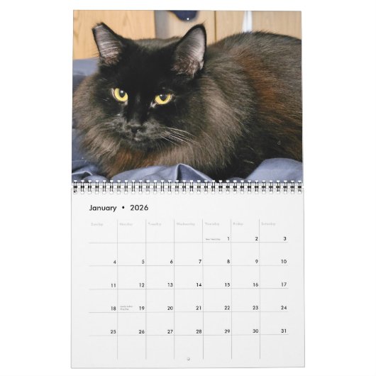Calendrier Chewie le chat noir : 12 mois de Whiskers, Pâtes, (Jan 2026)
