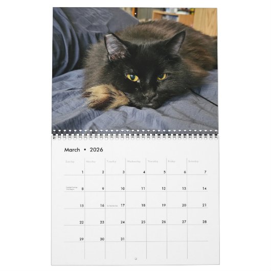 Calendrier Chewie le chat noir : 12 mois de Whiskers, Pâtes, (Mar 2026)