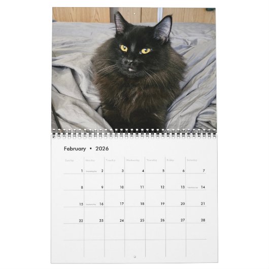 Calendrier Chewie le chat noir : 12 mois de Whiskers, Pâtes, (Feb 2026)