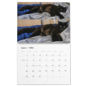 Calendrier Chewie the Black Cat: 18 Months of Whiskers, Paws, (Mar 2026)