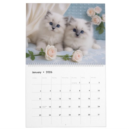 Calendrier Chic Chic Chat Shabby 2026 (Jan 2026)