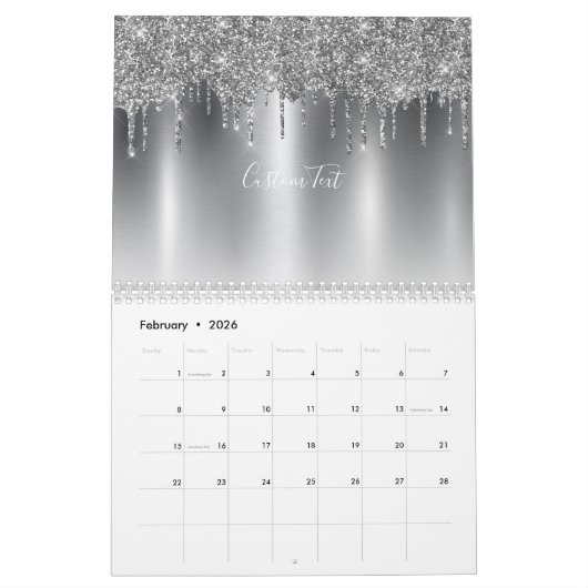 Calendrier Chic gris argenté Parties scintillant Ombre Monogr (Feb 2026)