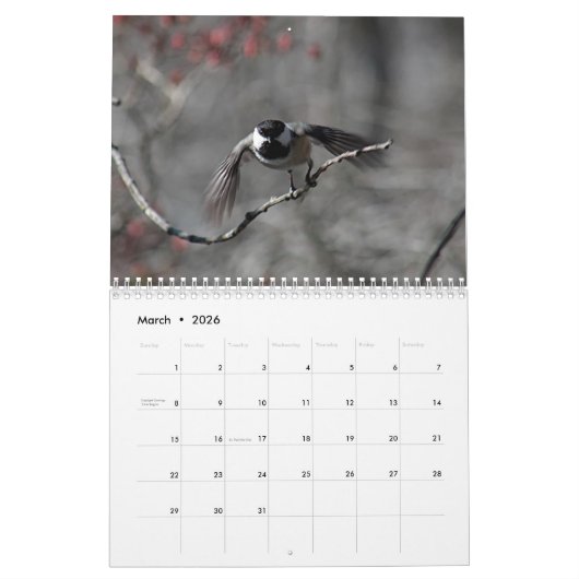Calendrier Chickadee (Mar 2026)