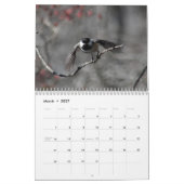 Calendrier Chickadee (Mar 2027)