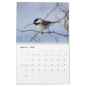 Calendrier Chickadees (Feb 2027)