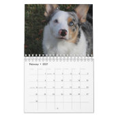 Calendrier Chien (Feb 2027)