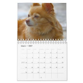 Calendrier Chien (Mar 2027)
