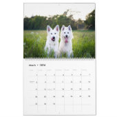 Calendrier Chien (Mar 2026)