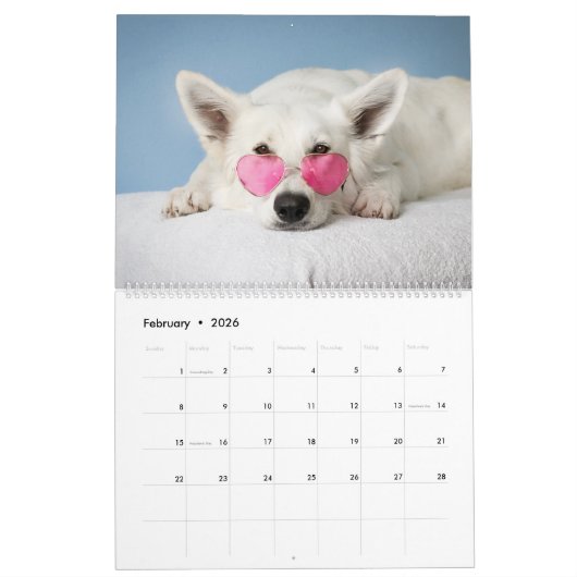 Calendrier Chien (Feb 2026)