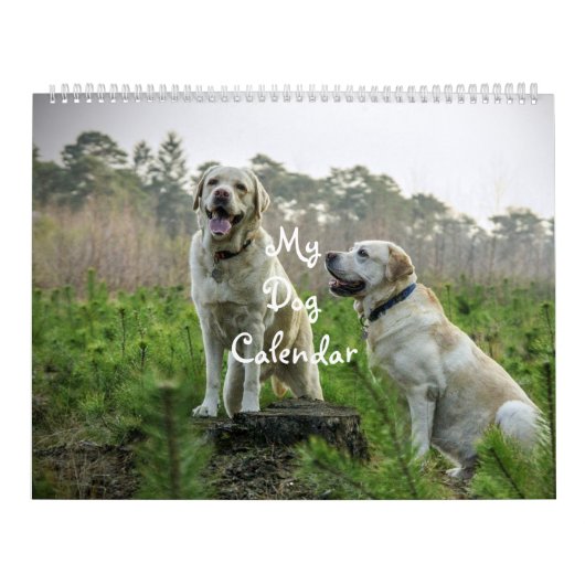 Calendrier Chien (Protection)