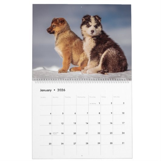 Calendrier Chien (Jan 2026)